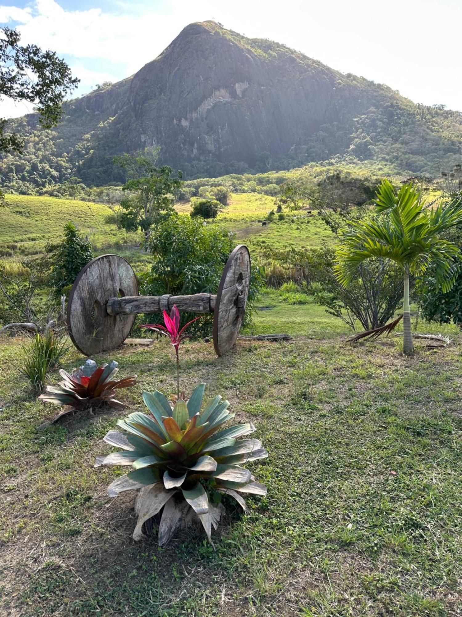 Sitio Recanto Dos Passaros Sao Fidelis  Bagian luar foto